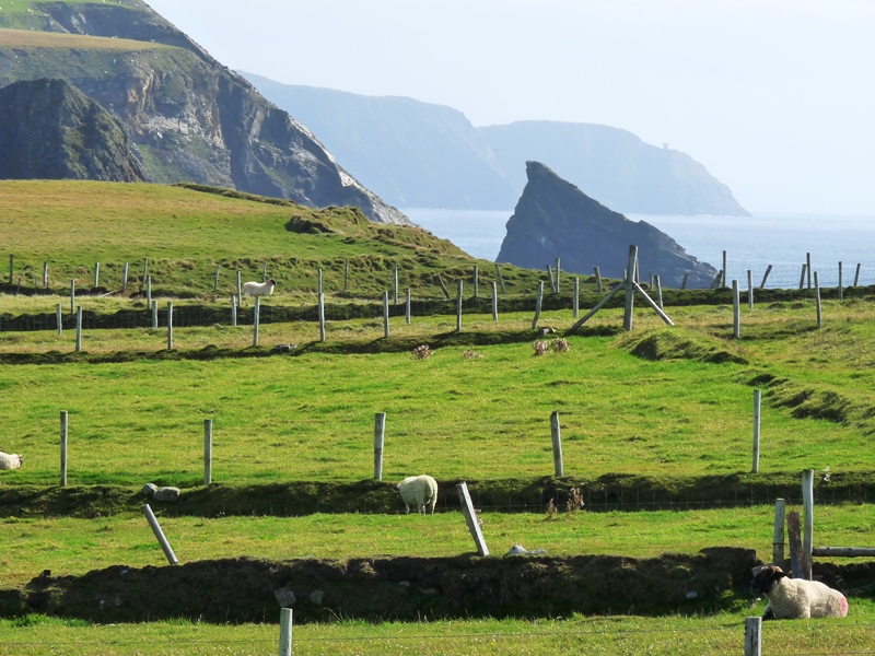 Idée cadeau pêcheur Irlande