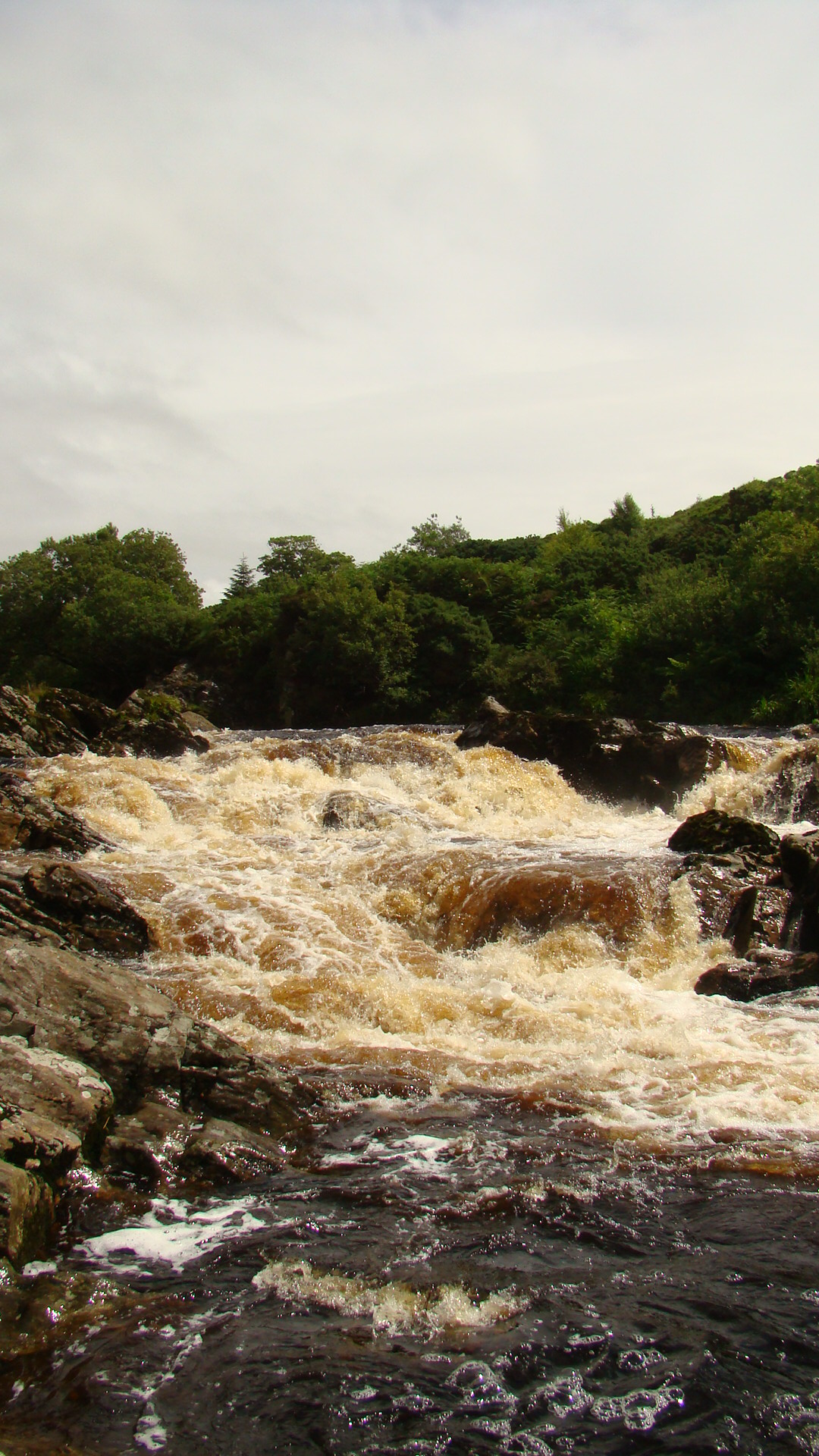 Formule peche saumon irlande