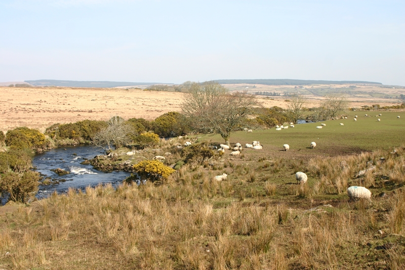 Voyage peche irlande